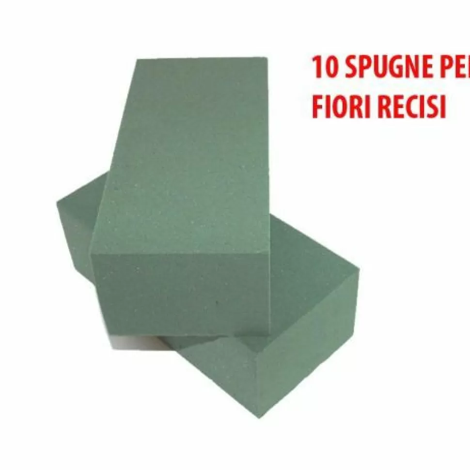 10 Spugne Per Fiori Recisi Freschi>PERAGASHOP Discount