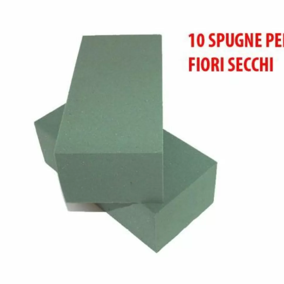 10 Spugne Per Fiori Secchi>PERAGASHOP Hot