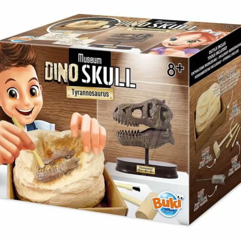 Diventa Un Archeologo Teschio Di Un Tirannosauro T-Rex>BUKI Discount