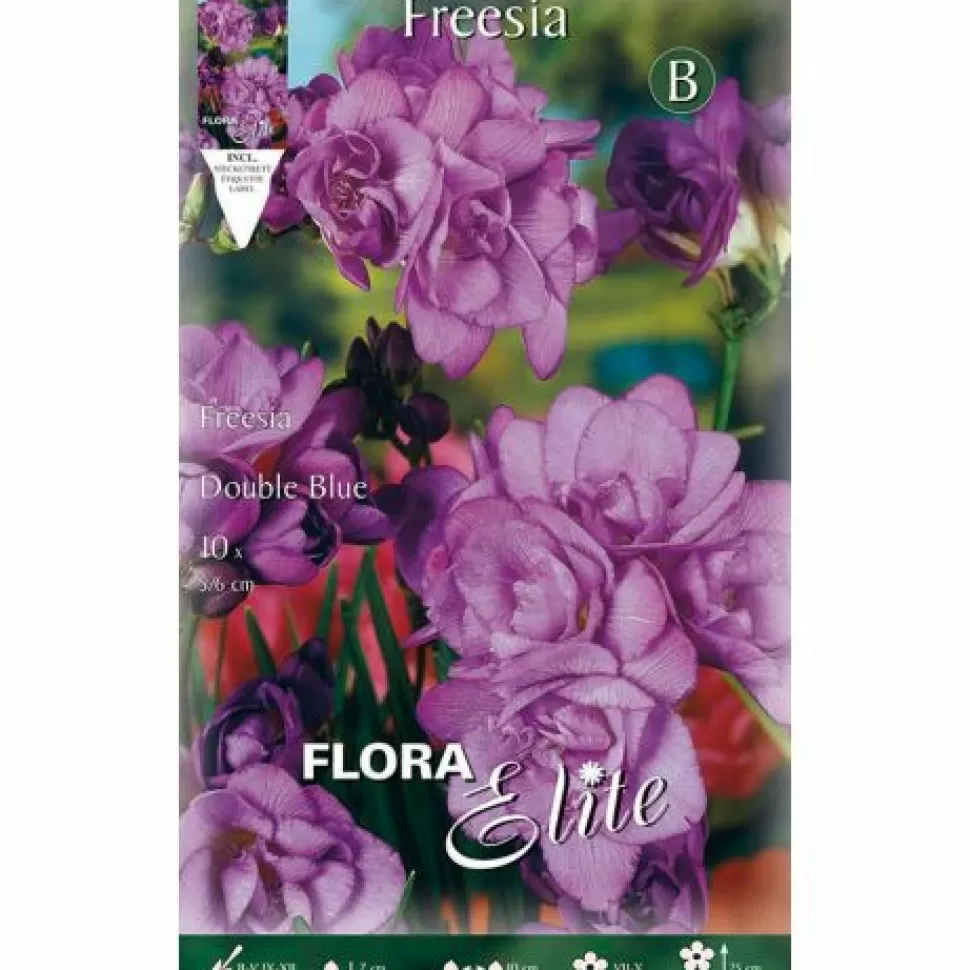 Freesia Double Blue (Confezione Da 10 Bulbi)>PERAGASHOP Online