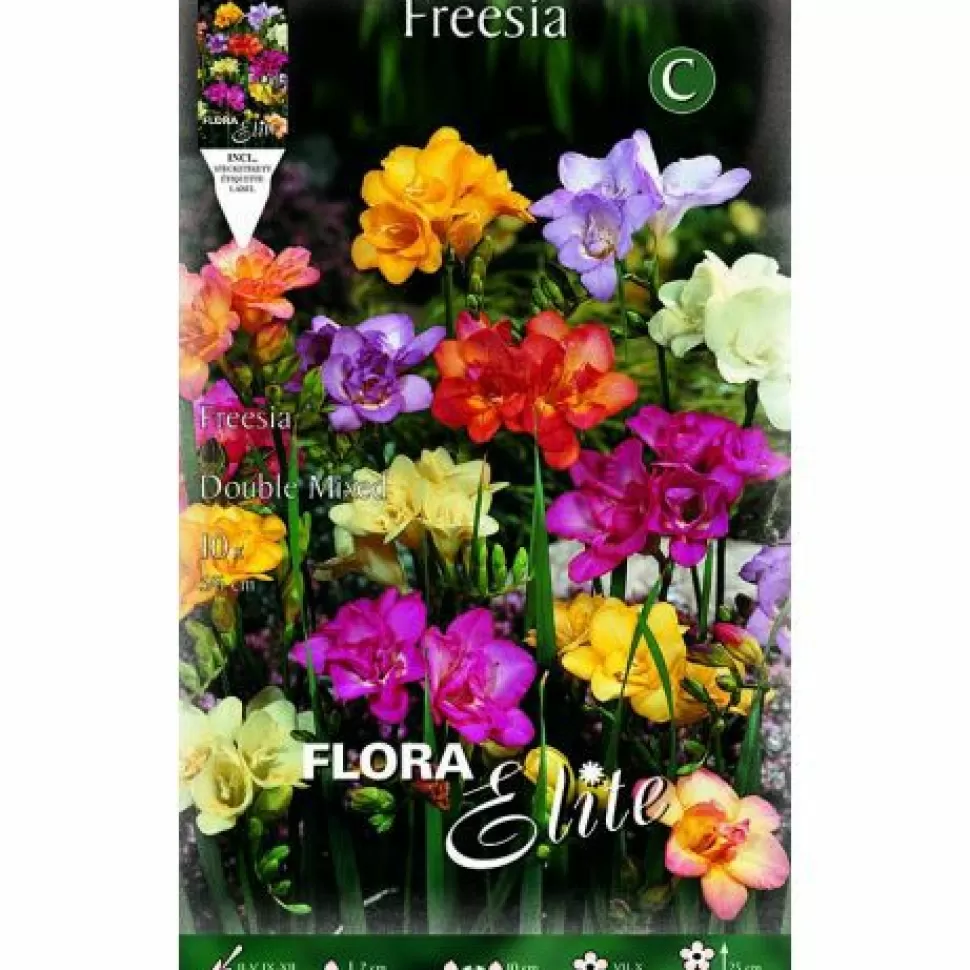 Freesia Double Mix (Confezione Da 10 Bulbi)>PERAGASHOP Best