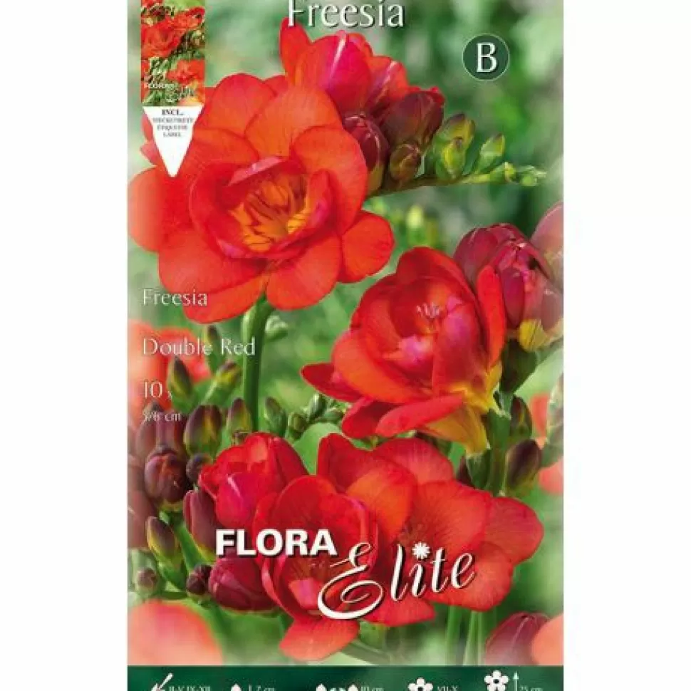 Freesia Double Red (Confezione Da 10 Bulbi)>PERAGASHOP Shop