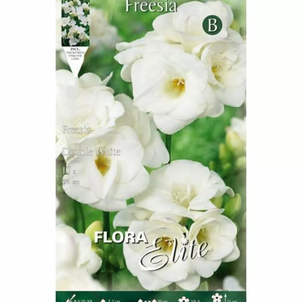 Freesia Double White (Confezione Da 10 Bulbi)>PERAGASHOP Discount