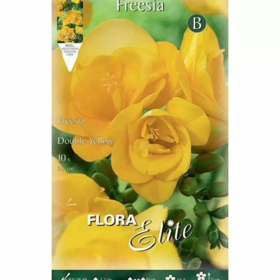 Freesia Double Yellow (Confezione Da 10 Bulbi)>PERAGASHOP Discount