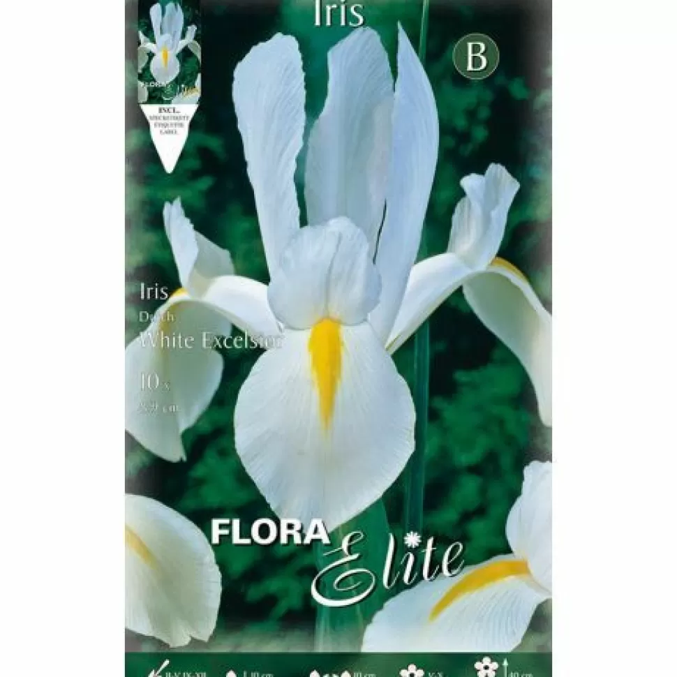 Iris Hollandica White Excelsior (Confezione Da 10 Bulbi)>PERAGASHOP Online