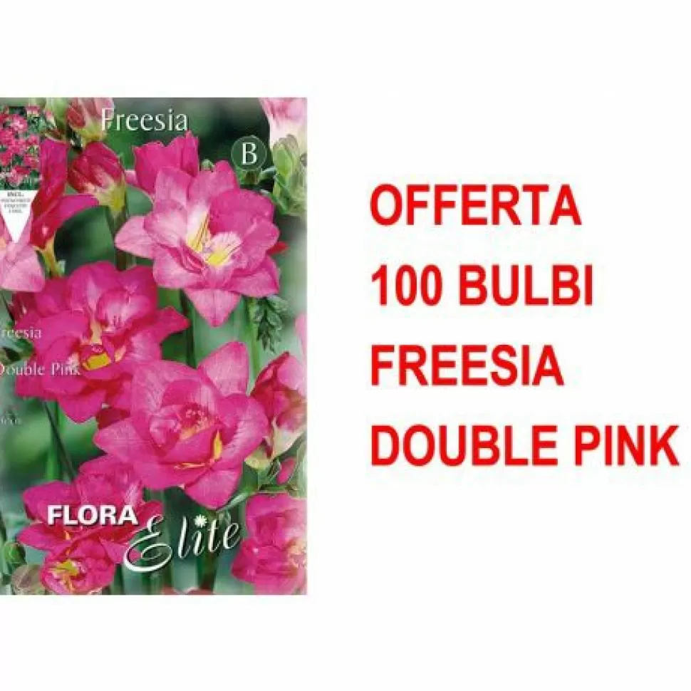 Offerta 100 Bulbi Freesia Double Pink>PERAGASHOP Hot