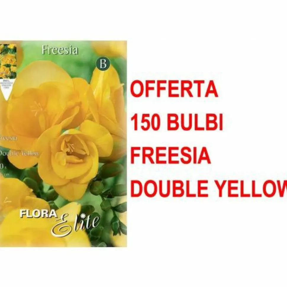 Offerta 150 Bulbi Freesia Double Yellow>PERAGASHOP Sale