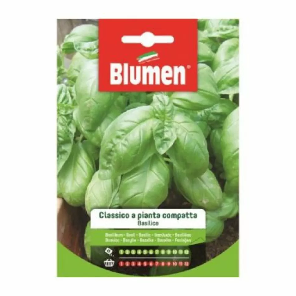 Semi Basilico Classico A Pianta Compatta>BLUMEN Hot