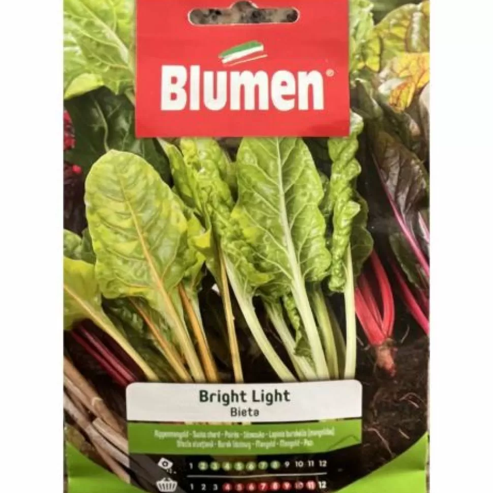 Semi Bieta Bright Lights>BLUMEN Clearance