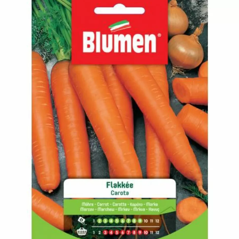 Semi Carota Flakkee>BLUMEN Fashion