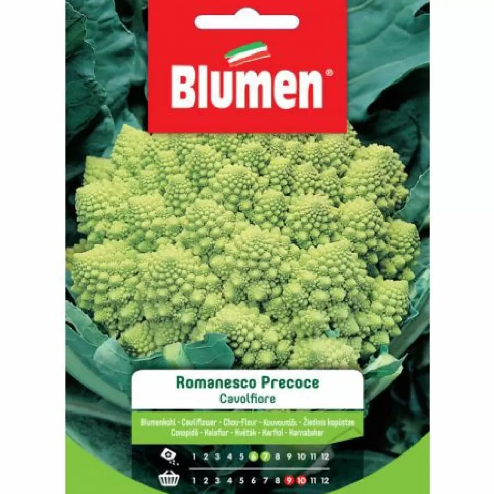 Semi Cavolfiore Romanesco Precoce>BLUMEN Clearance