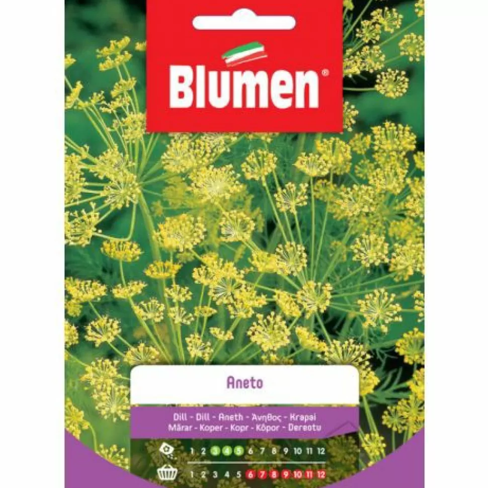 Semi Di Aneto>BLUMEN Best Sale