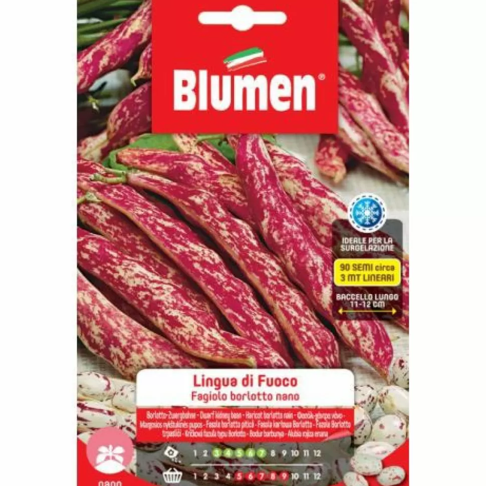 Semi Fagioli Borlotti Nani Lingua Di Fuoco>BLUMEN Flash Sale