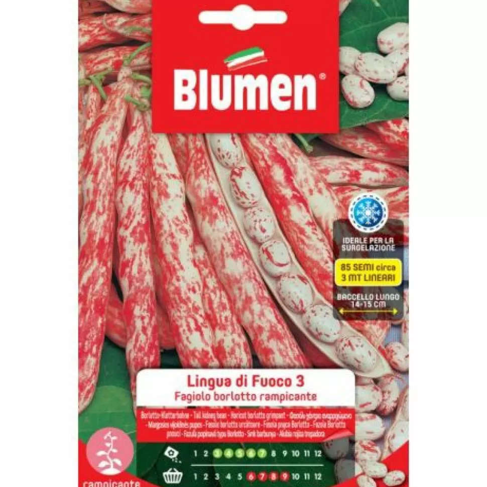 Semi Fagioli Borlotti Rampicanti Lingua Di Fuoco 3>BLUMEN Hot