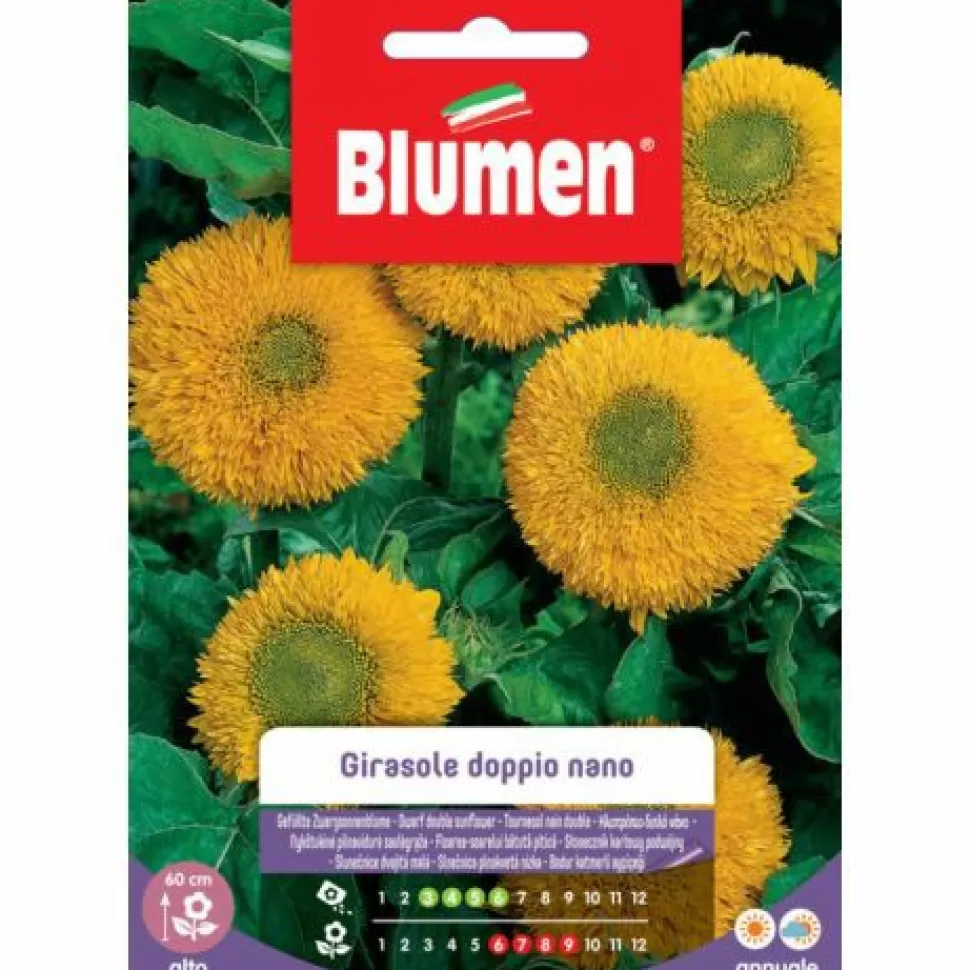 Semi Girasole Doppio Nano Gigante Giallo>BLUMEN Store